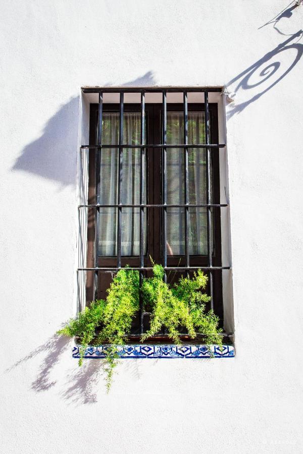 Casa Del Siglo XVII Villa Seville Exterior photo